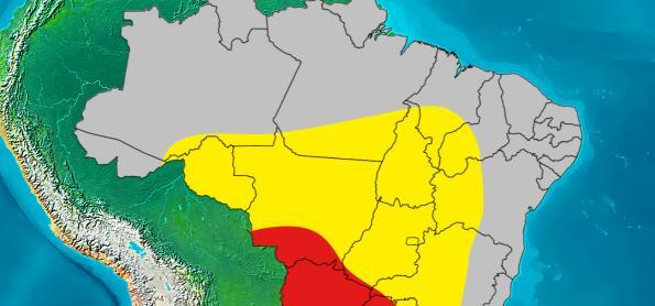 Umidade do ar atinge nível de alerta em estados brasileiros