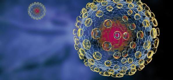 Os vírus que podem provocar a próxima pandemia