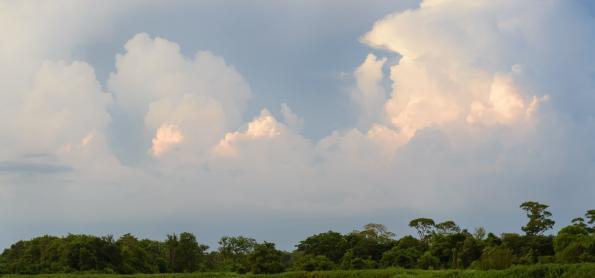  Frio se espalha no Centro-Oeste: Baixas temperaturas em MS e MT