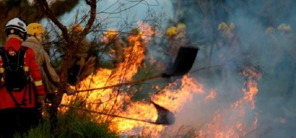 Onda de frio de julho influenciou as queimadas no Pantanal