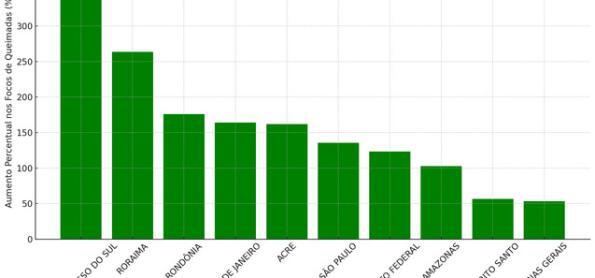Aumento de focos de queimadas no primeiro semestre de 2024