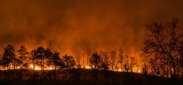 Corumbá: a cidade com maior focos de incêndio do Brasil