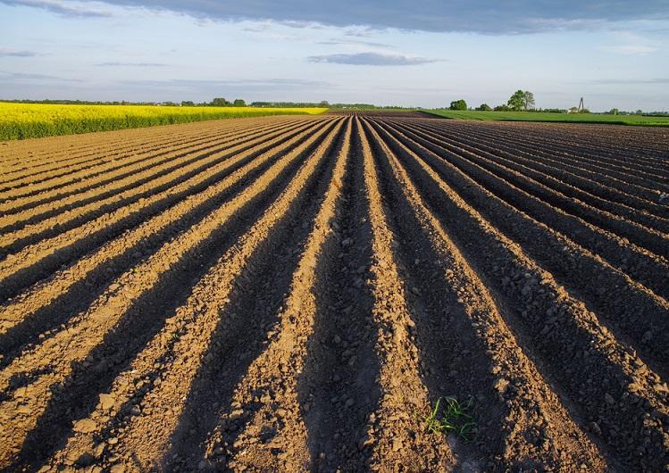 Foto: arquivo istock