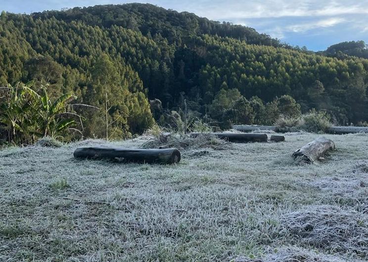 Foto: Mariana Wolf - Monte Verde - MG