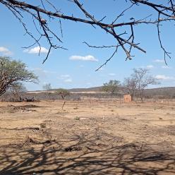 B-R-Ó BRÓ: O período de calor extremo que atinge o Nordeste