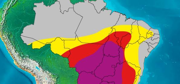 Ar muito seco deixa grande parte do Brasil em situação crítica