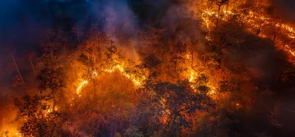 Brasil bate recorde de emissões de carbono com queimadas em alta