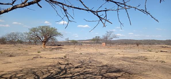 B-R-Ó BRÓ: O período de calor extremo que atinge o Nordeste