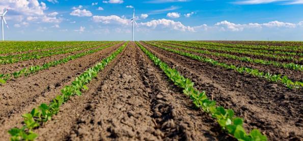 Lavouras do BR usam 10 práticas de agricultura regenerativa