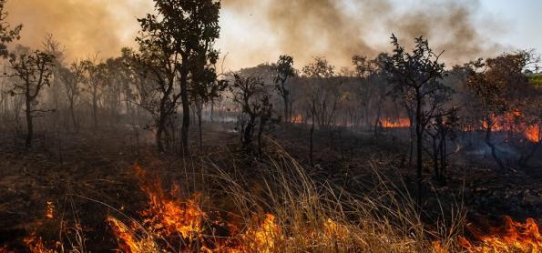 Como mudanças climáticas impulsionam incêndios no Brasil