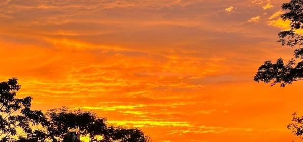 Com quase 37°C,  São Paulo tem novo recorde de calor para 2024