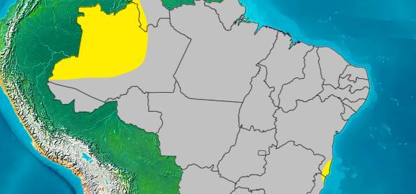 Terça-feira com pouca chuva e grande contraste de temperatura