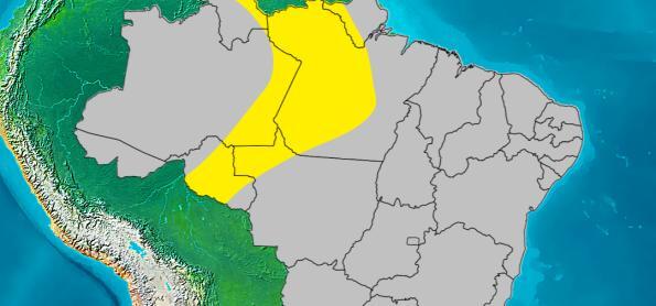 Alertas meteorológicos da Climatempo para 24/9/24