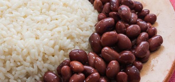 Arroz e feijão devem retomar crescimento na safra 24/25