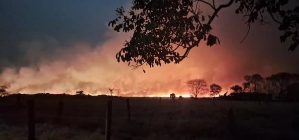 SP continua em fogo e capital paulista tem chuva de fuligem