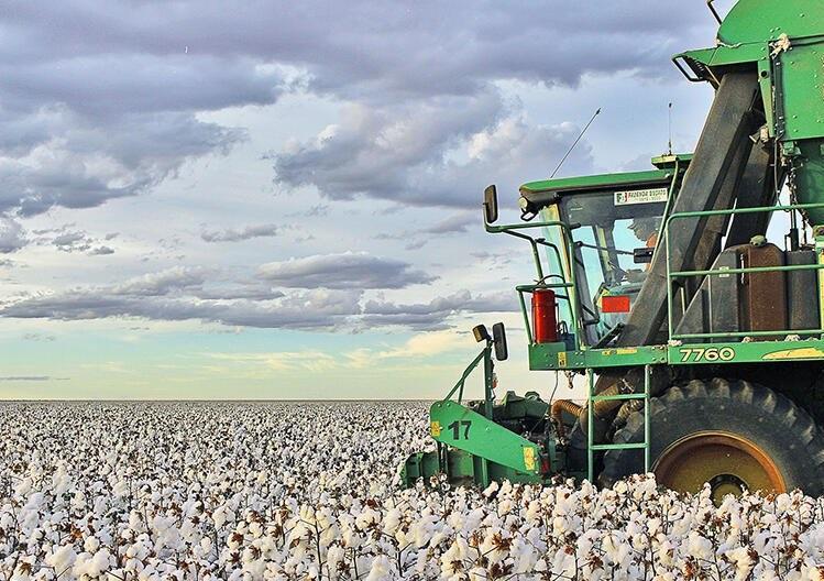 Foto: arquivo istock