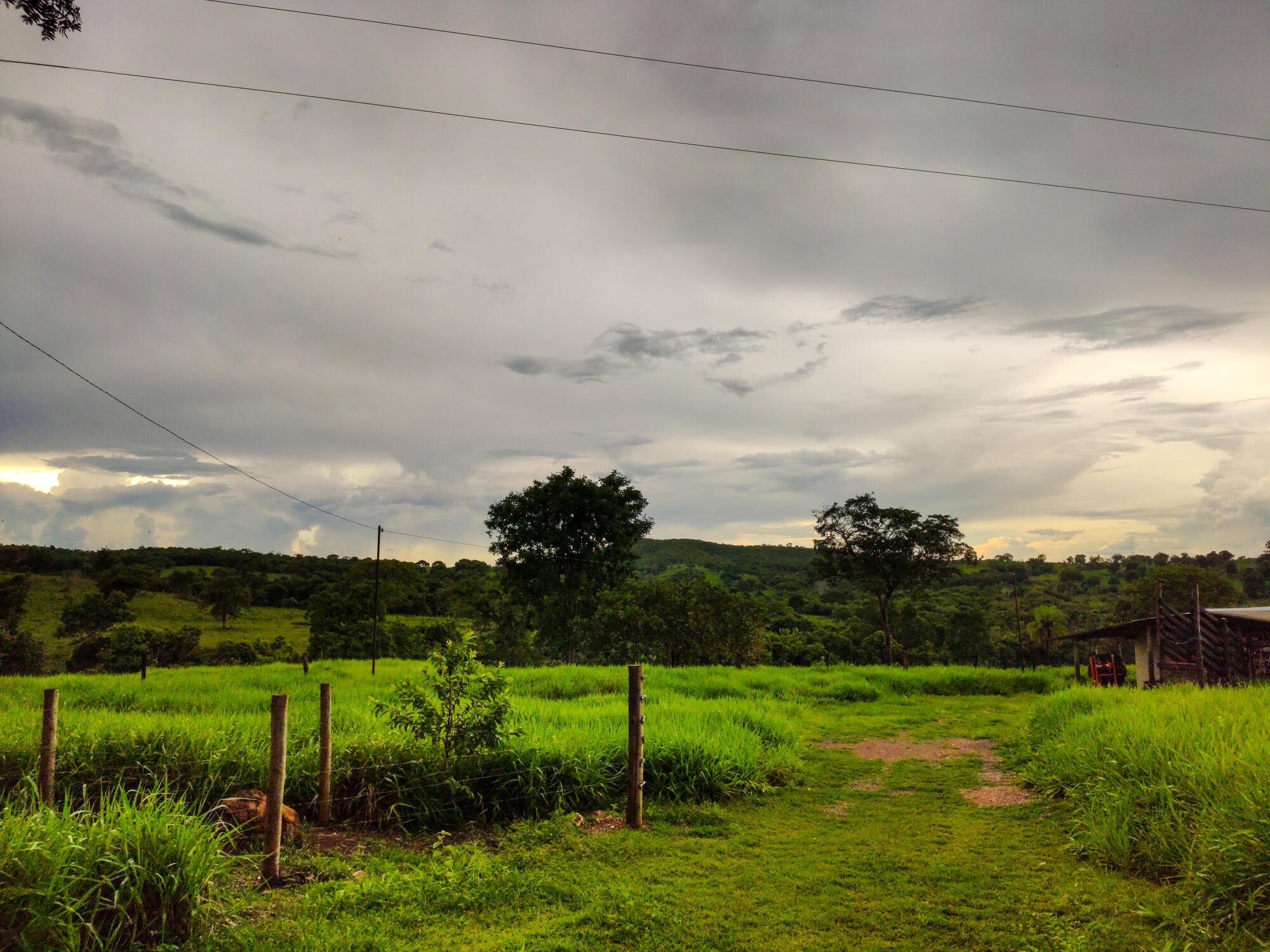 Imagem Previsão de chuva para esta semana em amplas regiões do Brasil