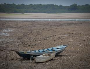 Seca na comunidade Nossa senhora de Fatima no Rio Tarumã Açu afluente do Rio Negro - Am- Clóvis Miranda-Fotos Públicas set 2024