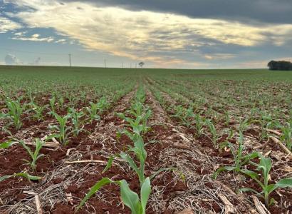 Foto: Carla Rossato - Sertaneja - PR