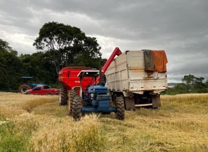 Foto: Simone Vargas - Campina do Simão - PR