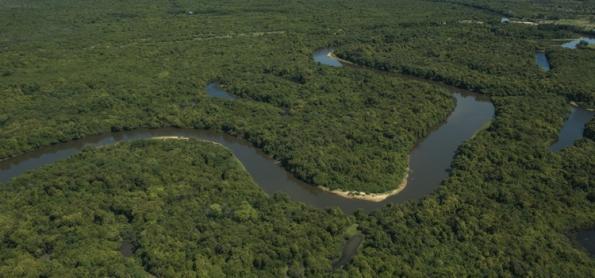 Chuvas de novembro indicam melhora no nível do Rio Negro