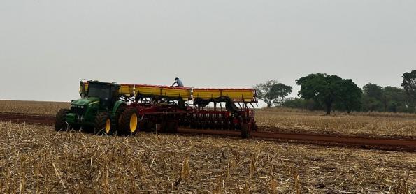 Chuva favorece início da semeadura da soja no PR e em GO 