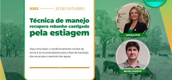 Técnica de manejo recupera rebanho castigado pela estiagem  