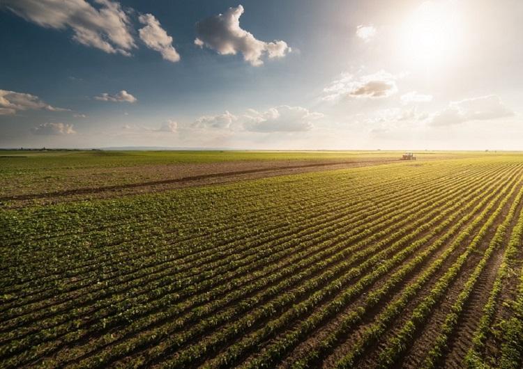 Fonte: Getty Images Fonte: Getty Images