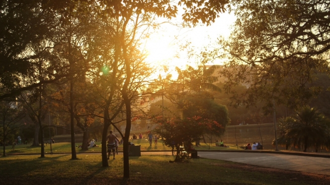 Finalzinho de Tarde - Parque Ibirapuera 