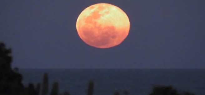 Lua Azul Nascendo sobre o Mar Ontem às 17:57