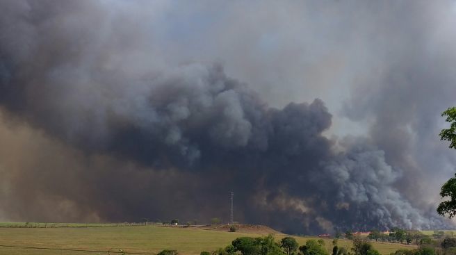 Incêndio em canaviais próximo a São Joaquim da Barra/SP