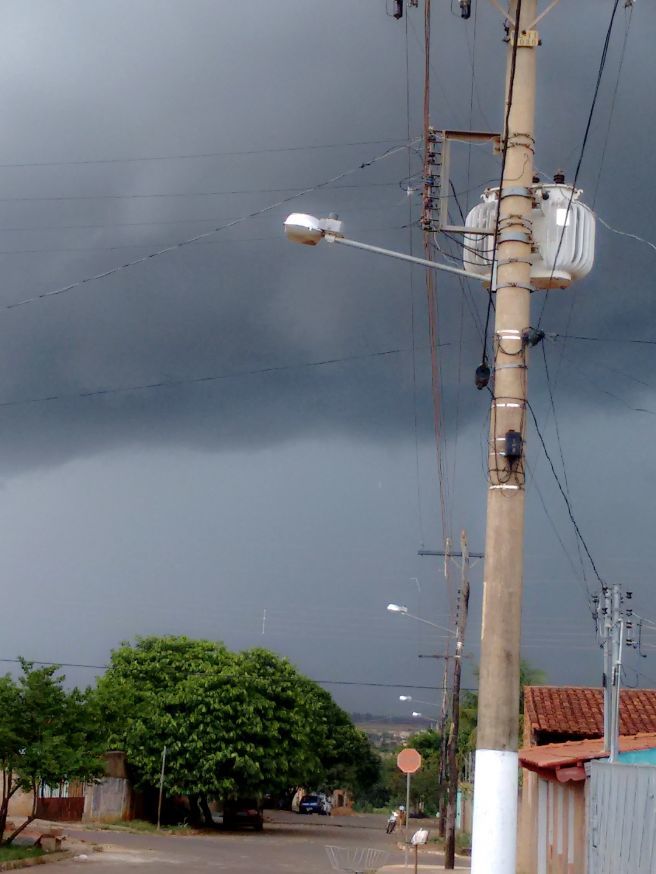 Tempestade em palmeiras de Goiás ontem