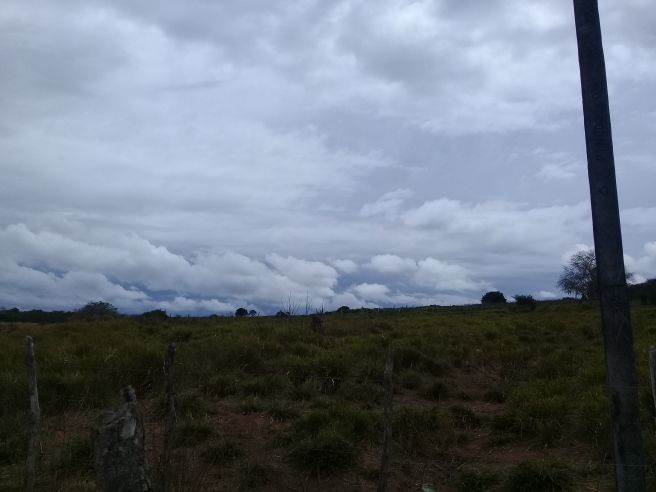 Tempo Nublado em Porto Real do Colégio Alagoas 