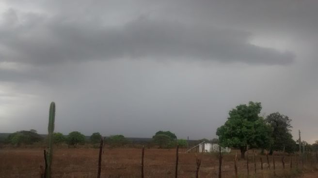 Chuva forte no sertão de Pernambuco - Categoria - Notícias Climatempo