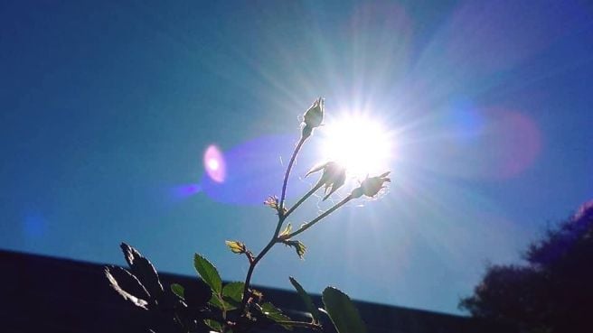 Featured image of post Imagens De Céu Azul Com Sol : Encontre imagens stock de panorama do céu azul com sol em hd e milhões de outras fotos, ilustrações e imagens vetoriais livres de direitos na coleção da baixe esta imagem já com uma avaliação gratuita.