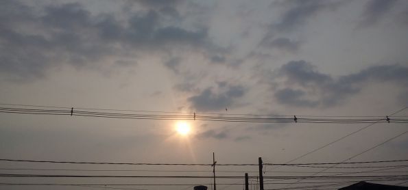Manha ensolarada em curitiba,sexta feira