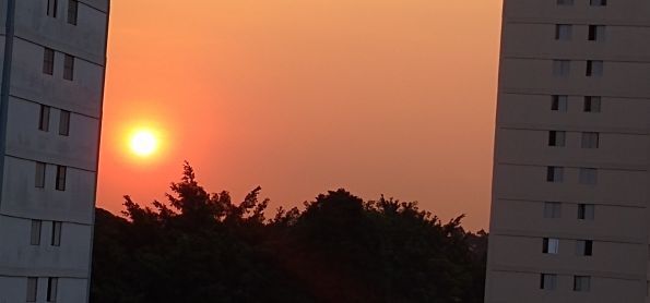 Espetáculo da natureza