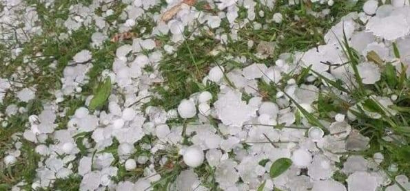 Queda de Granizo no Planalto Norte de Santa Catarina. Em Itaiópolis-SC 19-09-2019.