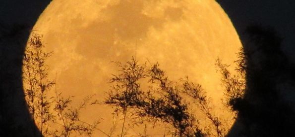 Lua Cheia 13/10/2019 - Rio de Janeiro - RJ