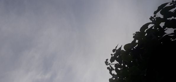 Céu Nublado
