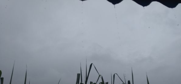 CHUVA EM BRUMADINHO - MG