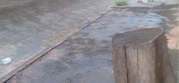 Contato