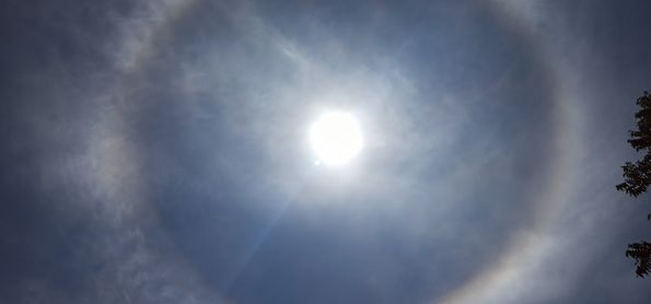 Halo