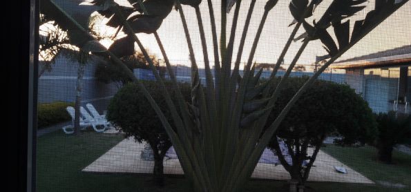 O entardecer da janela