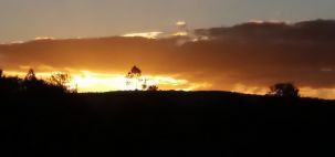 Um lindo Pôr do Sol em sincora da Serra- BA