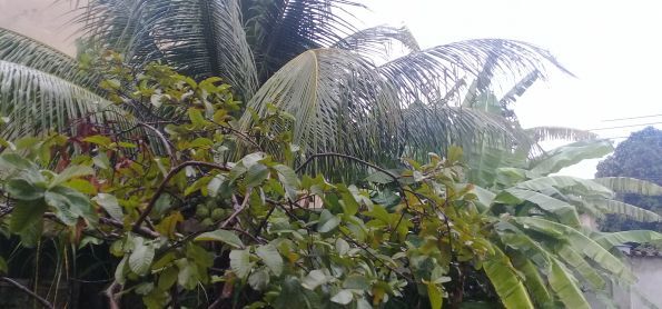 Chuva em Vila Velha / ES