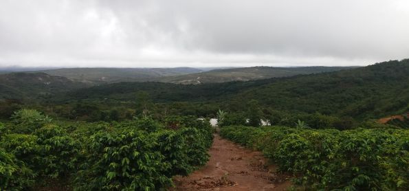 TEMPO CHUVOSO EM SINCORA DA SERRA - BAHIA
