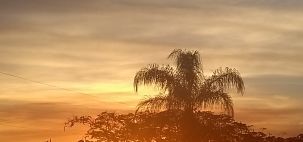 Fim de tarde!