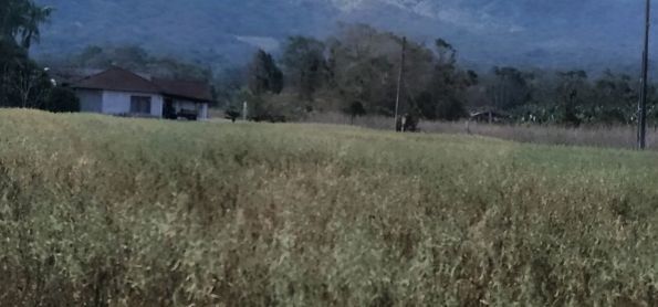 Chuva e frio no sul