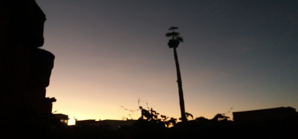 ENTARDECER EM BARRA DA ESTIVA - BA